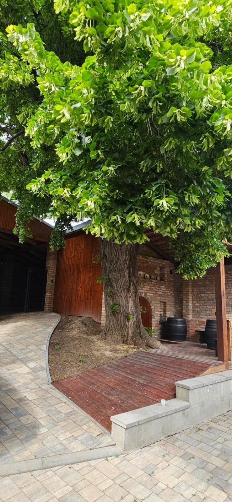 Apartmány Pulgary Bulhary Esterno foto
